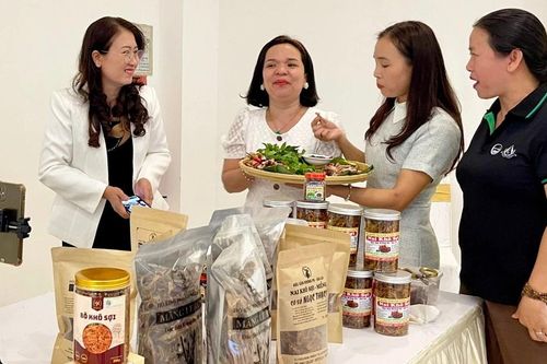 Hỗ trợ ứng dụng giải pháp thương mại điện tử vào kinh doanh