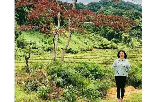 Về miền lá đỏ