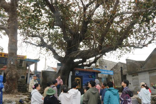 Hội Liên hiệp Phụ nữ tỉnh Khánh Hòa: Chương trình 'Du lịch học tập cộng đồng - Du lịch giáo dục' cho sinh viên