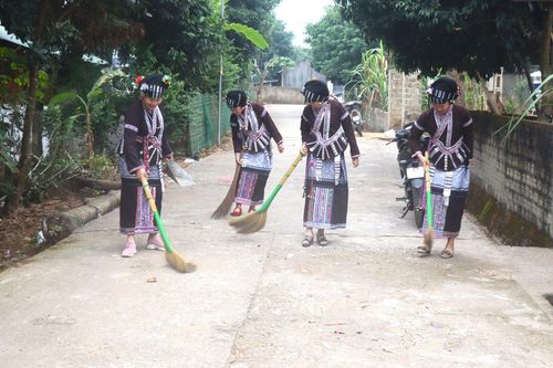 Cải thiện môi trường sống