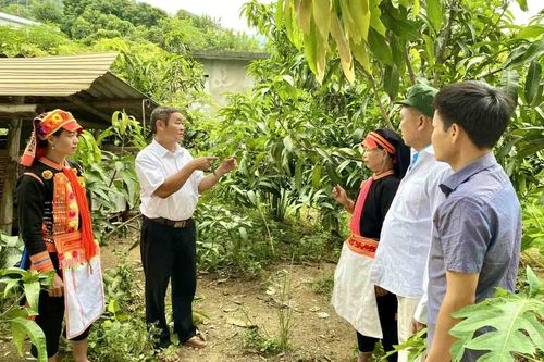 Phong Thổ chăm lo, phát huy vai trò người cao tuổi