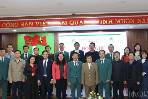Lào Cai phấn đấu đón 10 triệu lượt khách trong năm 2025