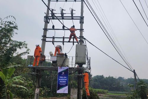 Điện lực Thanh Ba triển khai thực hiện tháng tri ân khách hàng năm 2024