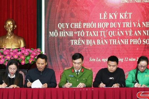 Nhân rộng mô hình 'Tổ taxi tự quản về an ninh, trật tự'