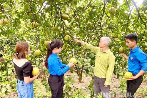Chi Thiết nỗ lực giảm nghèo bền vững