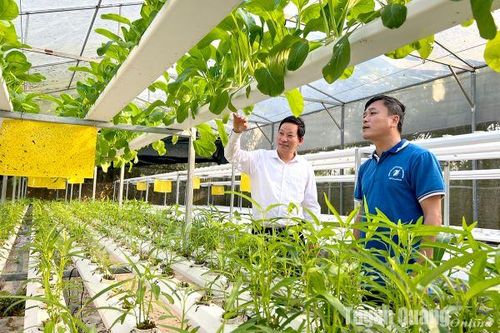 Kích hoạt nông nghiệp tuần hoàn theo hướng tăng trưởng xanh