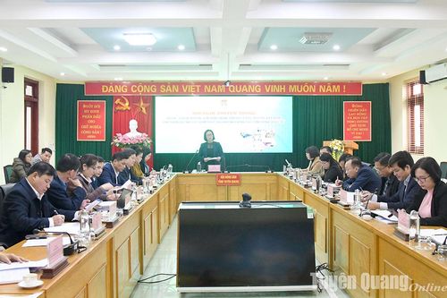 Hội Nông dân tỉnh đánh giá kết quả thực hiện Dự án Tuyên truyền, vận động nông dân xử lý rác thải tại Việt Nam