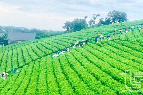 Đại Từ vững tin trong từng bước đi