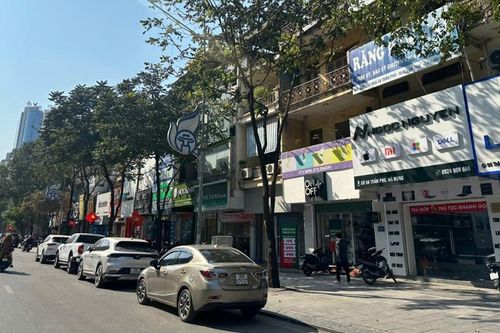 Hà Đông (Hà Nội): Tổ chức thanh lý củi gỗ thu hồi từ công tác cắt sửa cây xanh