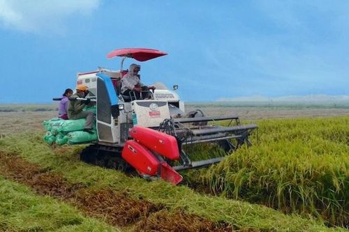 Nam Định: Ứng dụng khoa học công nghệ để phát triển nông nghiệp bền vững