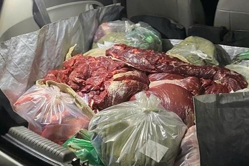Gần 2 tạ thịt bò bốc mùi, phân hủy vẫn ém trên ô tô để 'tập kích' quán nhậu