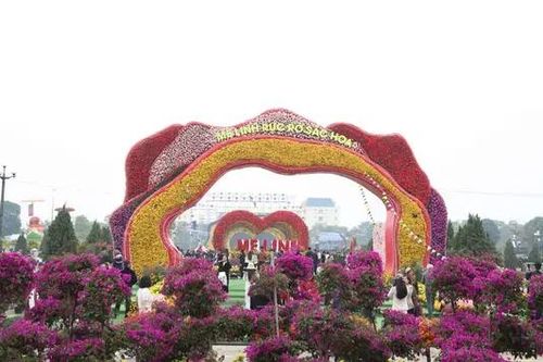 Festival hoa Mê Linh kéo dài đến hết Tết Dương lịch