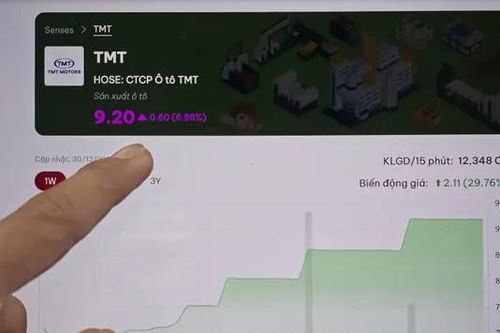 Cổ phiếu TMT liên tục tăng trần bất chấp thua lỗ