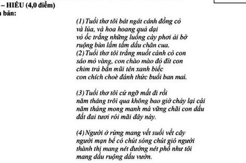 Đề thi thử môn Ngữ văn: Biết trân trọng những điều bình dị trong cuộc sống