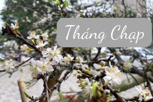 Tại sao tháng 12 Âm lịch được gọi là tháng Chạp?