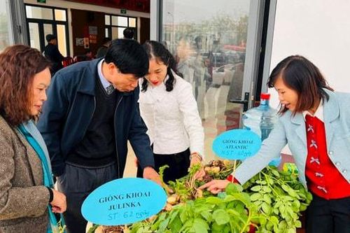 Tin tức đặc biệt trên báo in Hànôịmới ngày 30-12-2024