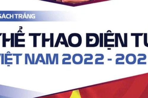 Ra mắt 'Sách trắng Thể thao điện tử Việt Nam'