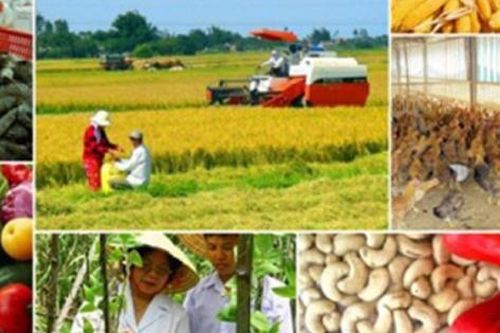 Khát vọng 100 tỷ USD đưa nông sản Việt vươn xa toàn cầu