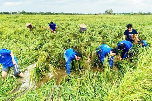 Thái Bình đẩy mạnh phát triển 'Đảng viên tuổi 18' trong tổ chức Đoàn Thanh niên