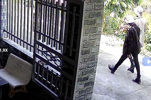 Hai anh em trộm cắp tài sản