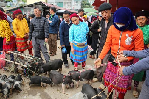 Cảnh báo tình trạng ngộ độc rượu tự nấu trong vùng đồng bào dân tộc thiểu số