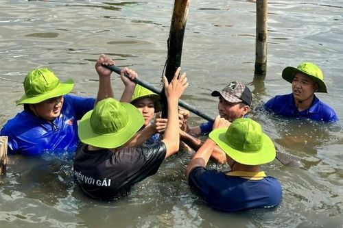 Tuổi trẻ Cà Mau trồng, chăm sóc hơn 4.200km cây xanh chống sạt lở