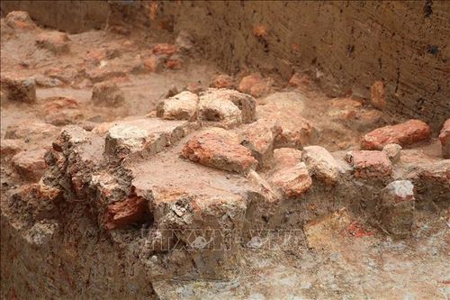 Khảo cổ khẩn cấp đoạn bờ đất đắp nghi là tường thành Hoa Lư