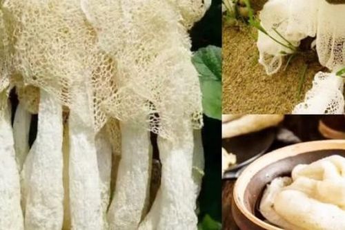 'Lộc trời' chỉ tồn tại trong 10 giờ đồng hồ, giá tiền triệu/kg