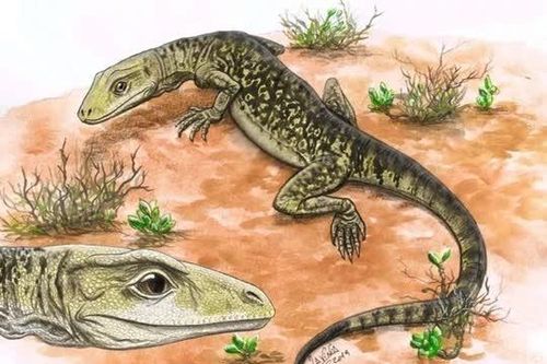 Loài bò sát 205 triệu tuổi 'làm rung chuyển lịch sử tiến hóa'