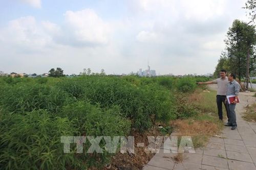 Chống lãng phí đất đai - Bài 1: Bờ xôi ruộng mật bị bỏ hoang