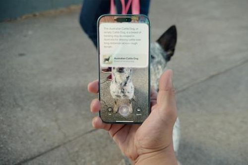 iPhone năm 2025: Đột phá với những thay đổi chưa từng có