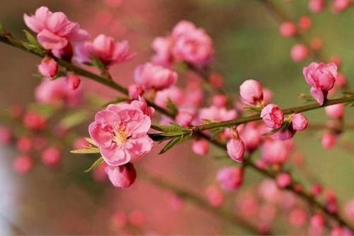 Bộ Công Thương thực hiện Chỉ thị 40-CT/TW của Ban Bí thư