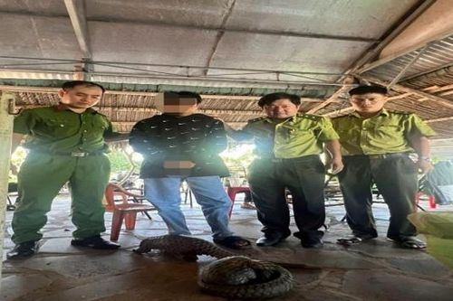 Bắt đối tượng vận chuyển động vật quý hiếm