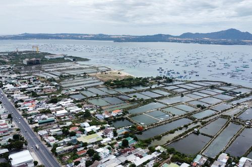 Cam Ranh: Nỗ lực triển khai các dự án trọng điểm