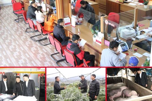 Agribank Lai Châu: Đồng hành cùng người dân phát triển kinh tế
