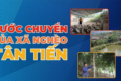 Bước chuyển của xã nghèo Tân Tiến