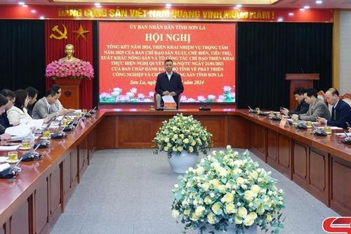 Ban Chỉ đạo 598 tỉnh triển khai nhiệm vụ năm 2025