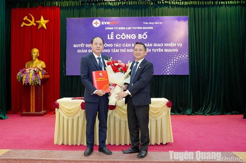 Công ty Điện lực Tuyên Quang bổ nhiệm Giám đốc Trung tâm Thí nghiệm điện Tuyên