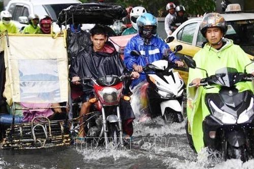 Cần thiết đối với các đô thị Đông Nam Á