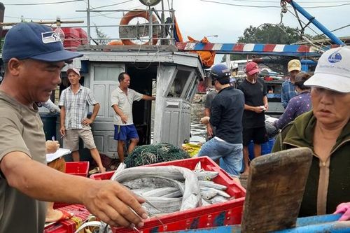 Tăng trưởng ngành nông nghiệp đạt 3,4%