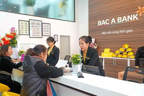 Nợ xấu tăng 50%, Ngân hàng Bắc Á (BAB) vẫn muốn phát hành thêm hàng trăm triệu cổ phiếu