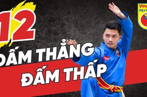 Học võ Vovinam - Tập 12: Đấm thẳng, Đấm thấp