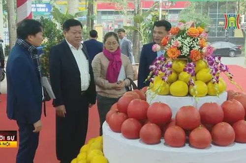 Ngành Nông nghiệp Hà Nội triển khai nhiệm vụ năm 2025