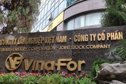 Vinafor (VIF) ước lãi sau thuế đạt 325 tỷ đồng năm 2024