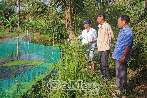 Triển vọng khôi phục và phát triển nguồn lợi cá đồng
