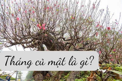 Vì sao tháng 12 Âm lịch được gọi là tháng củ mật?