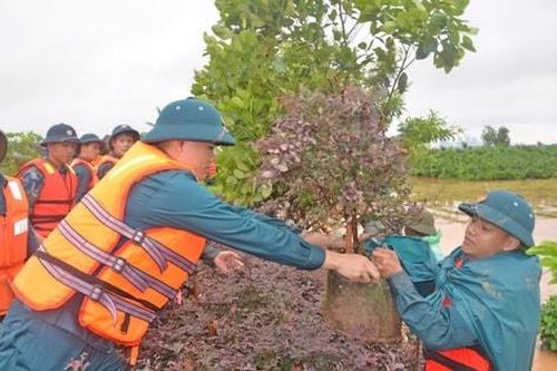 Dân quân mạnh, địa phương bình yên