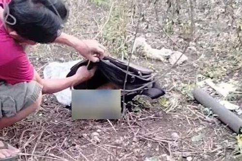 Nghe tiếng kêu yếu ớt, người dân chết lặng khi phát hiện bí mật trong chiếc cặp ở vườn bưởi tại Đồng Nai