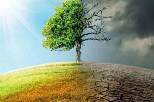 Giải thể Ủy ban Quốc gia về biến đổi khí hậu