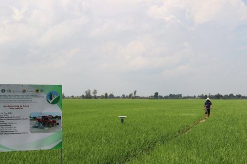 Đồng bằng sông Cửu Long hướng tới nền kinh tế xanh